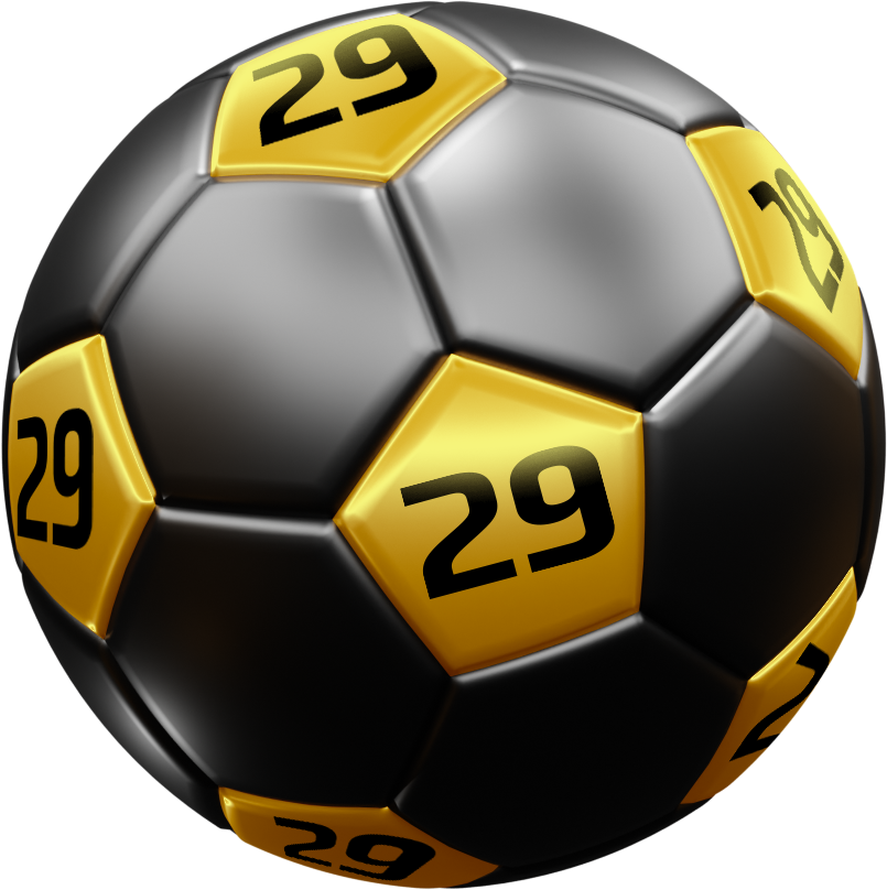 Sports Ball